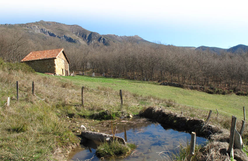 pagina_camarica