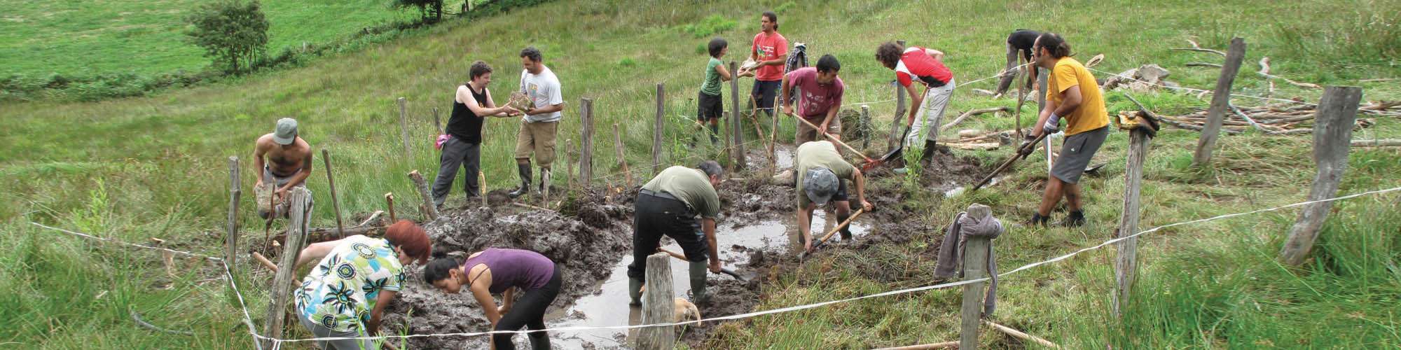 slider_voluntariado2000