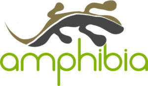 Proyecto Anfibios