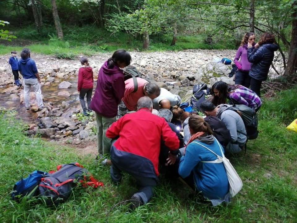 Gestamos un nuevo informe de Proyecto Ríos