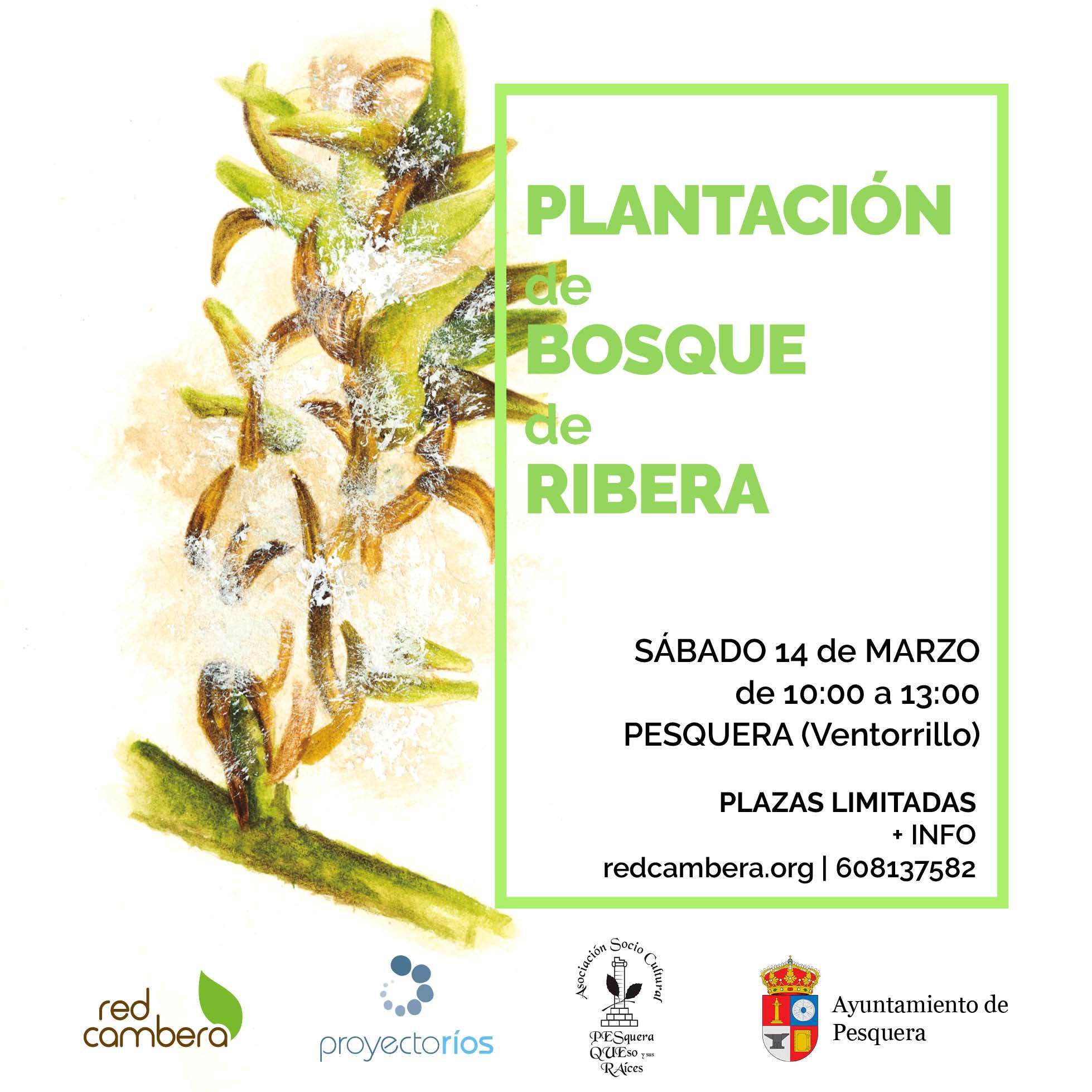 SUSPENDIDA: Jornada de plantación en Pesquera