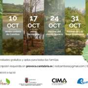 Programa PROVOCA y Red Cambera Septiembre a Noviembre 2020