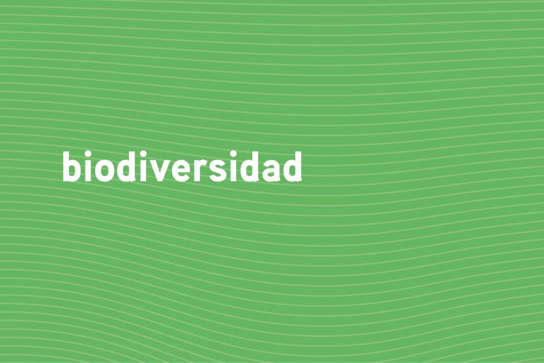 Biodiversidad