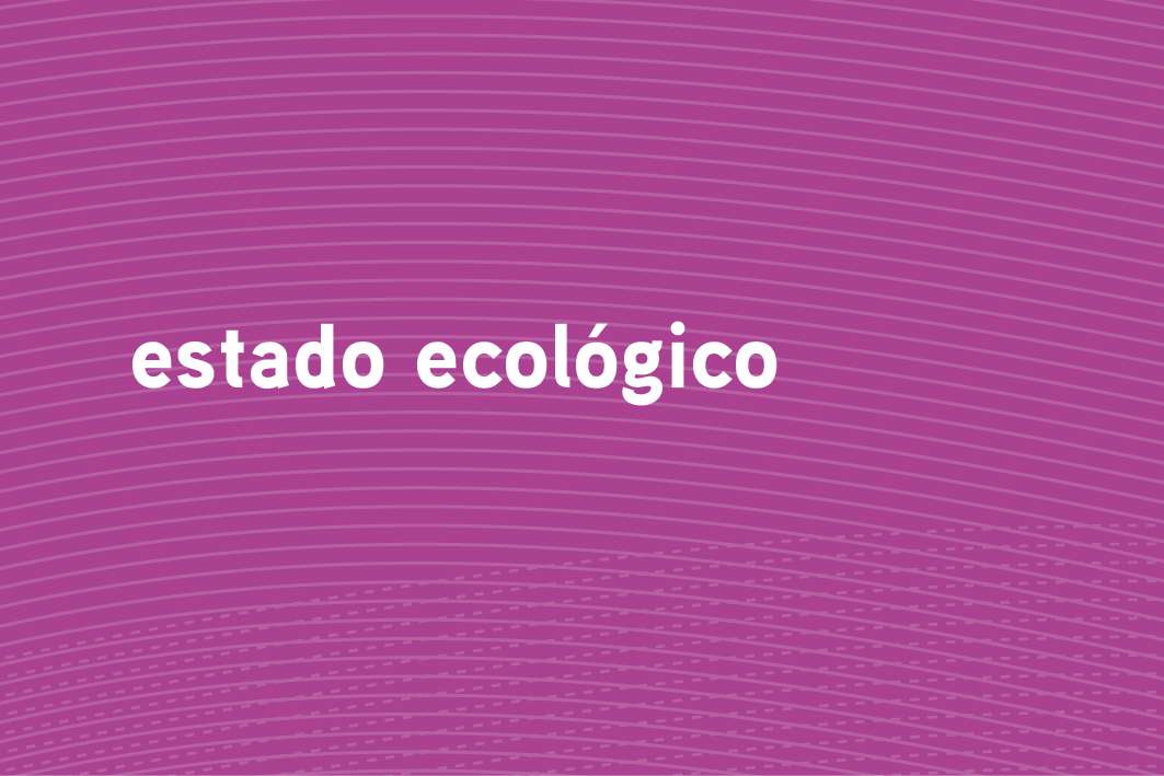Estado ecologico
