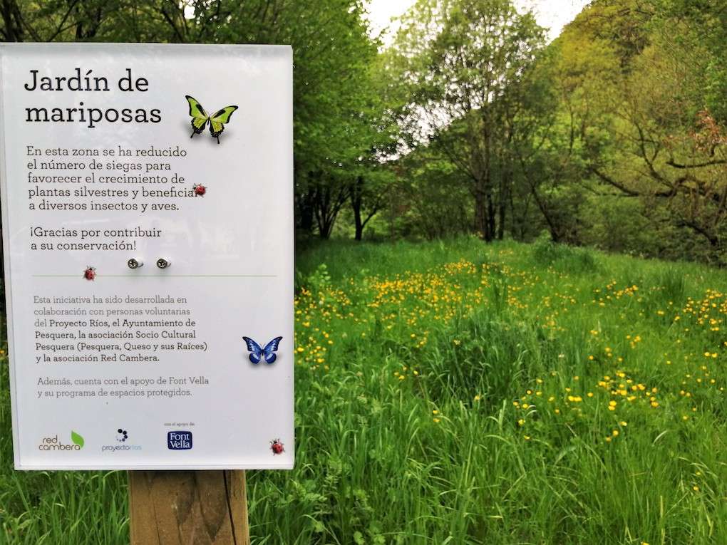 Más biodiversidad para nuestros ríos