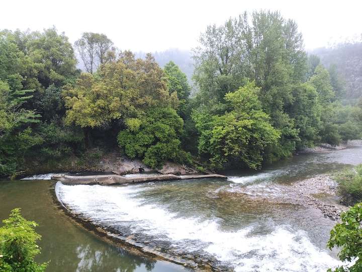Estrategia para avanzar juntos hacia la biodiversidad