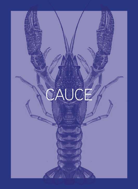 Cauce21