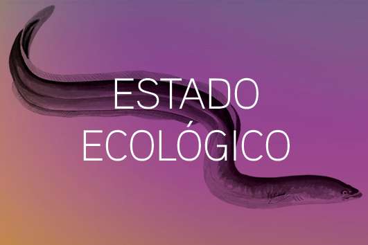 Estado ecologico22