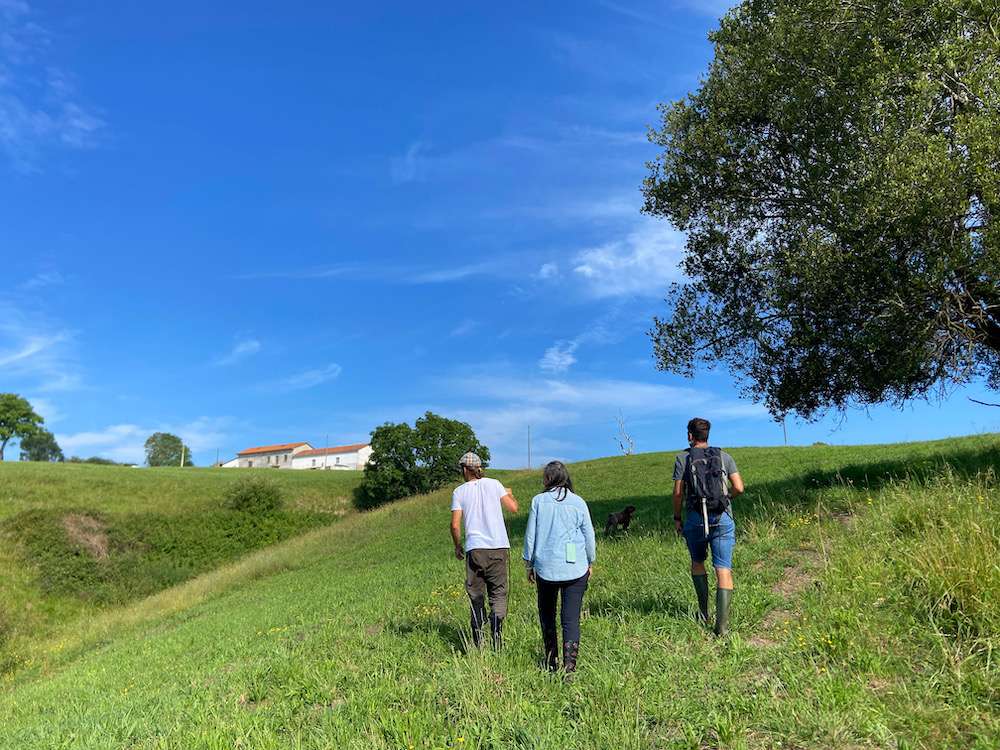Custodia del territorio en la finca “Ostara–Casa Huerta” de Viveda