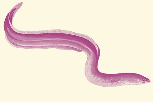 Informe anual 2023 de Proyecto Ríos
