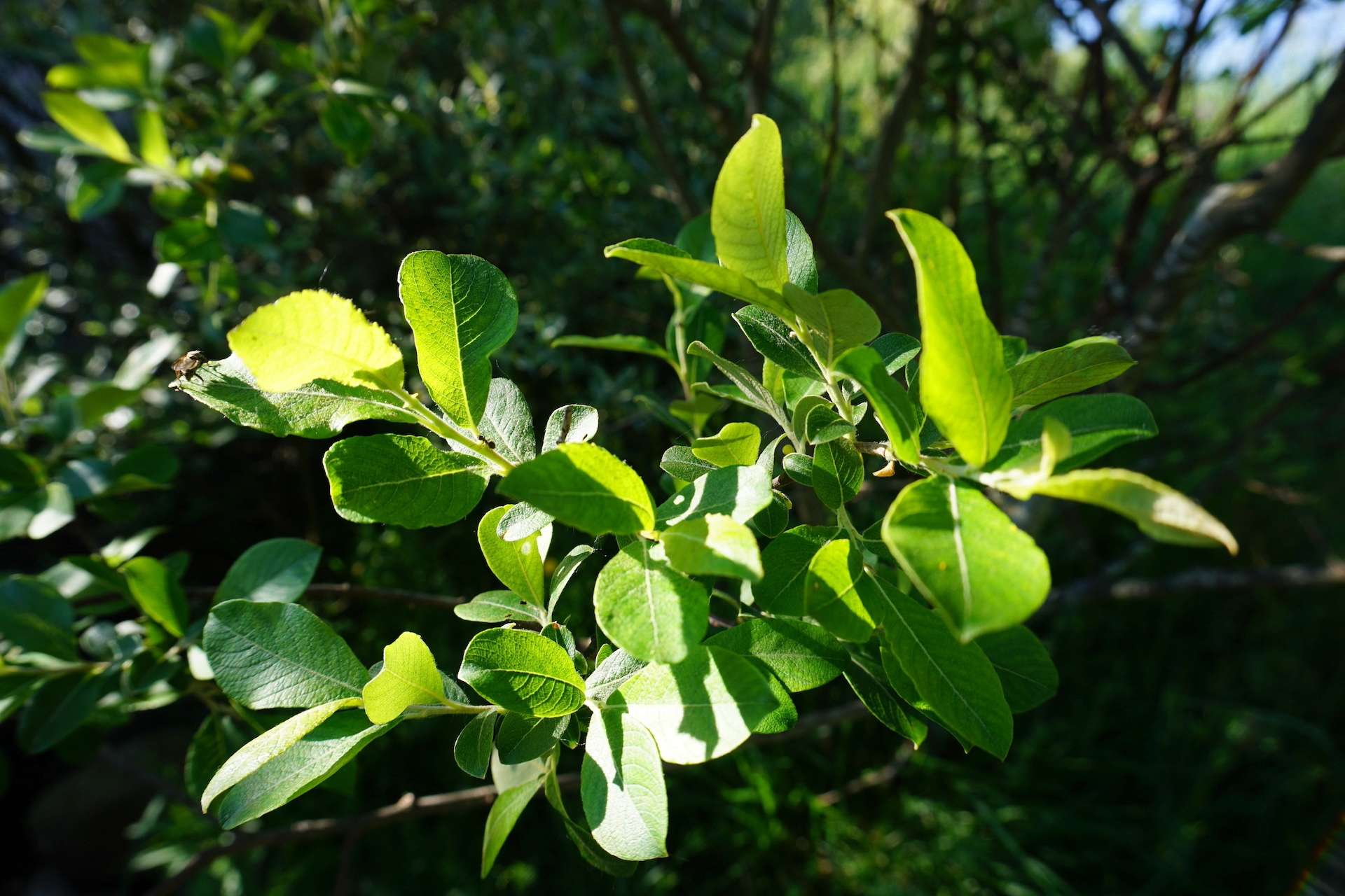 Este tiempo de locos