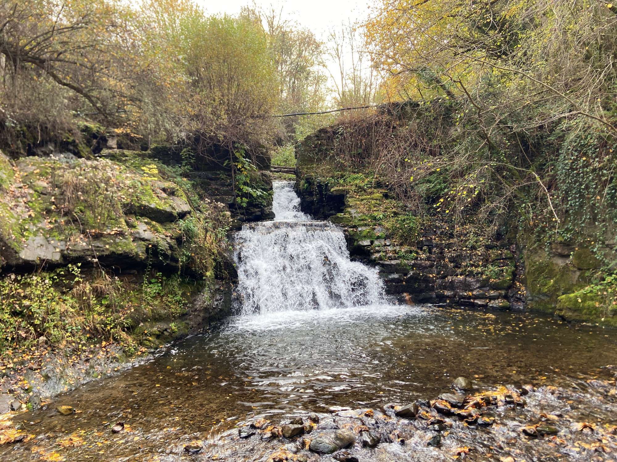 Lo colectivo y lo social