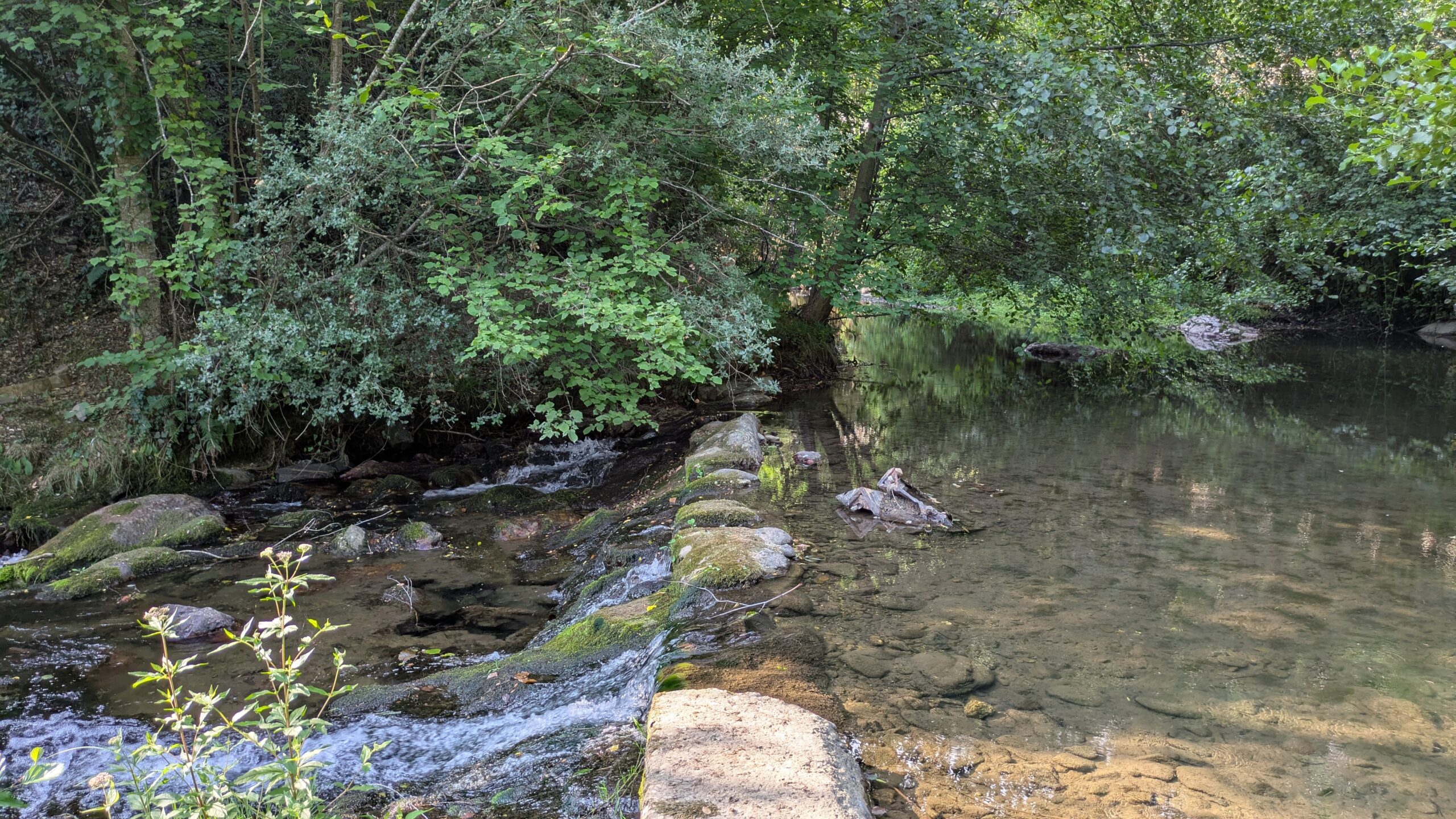 El Programa europeo Open Rivers facilitará el derribo de más obstáculos fluviales en Cantabria